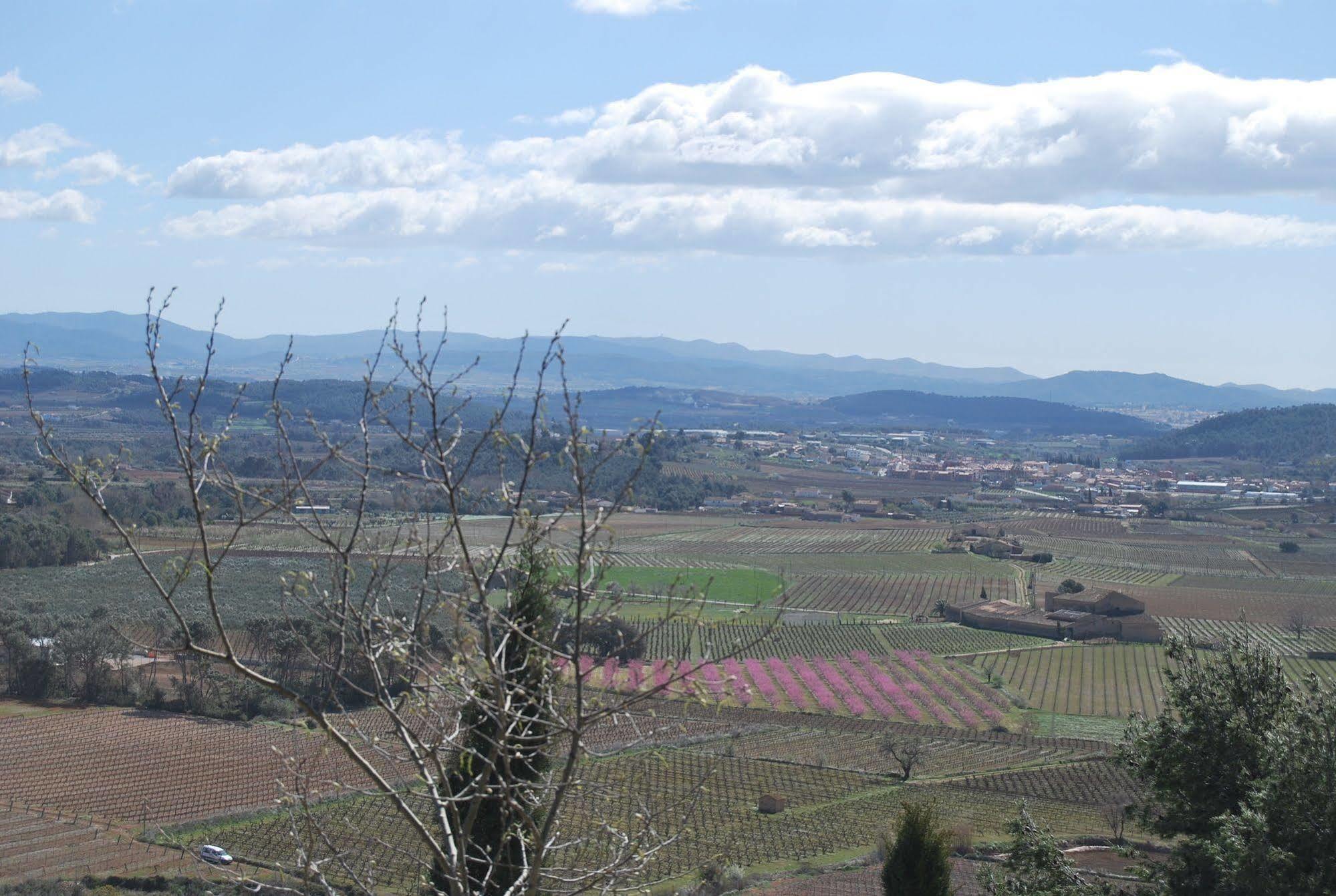 Arianella Holiday Home Penedes Torrellas de Foix Zewnętrze zdjęcie